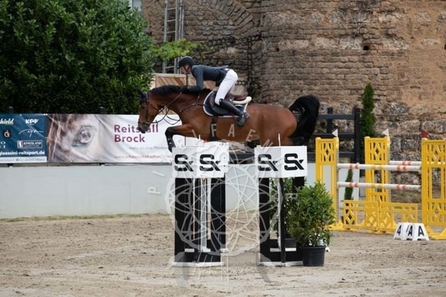 2B4A2519 | pixelfaenger - Realisiert mit Pictrs.com