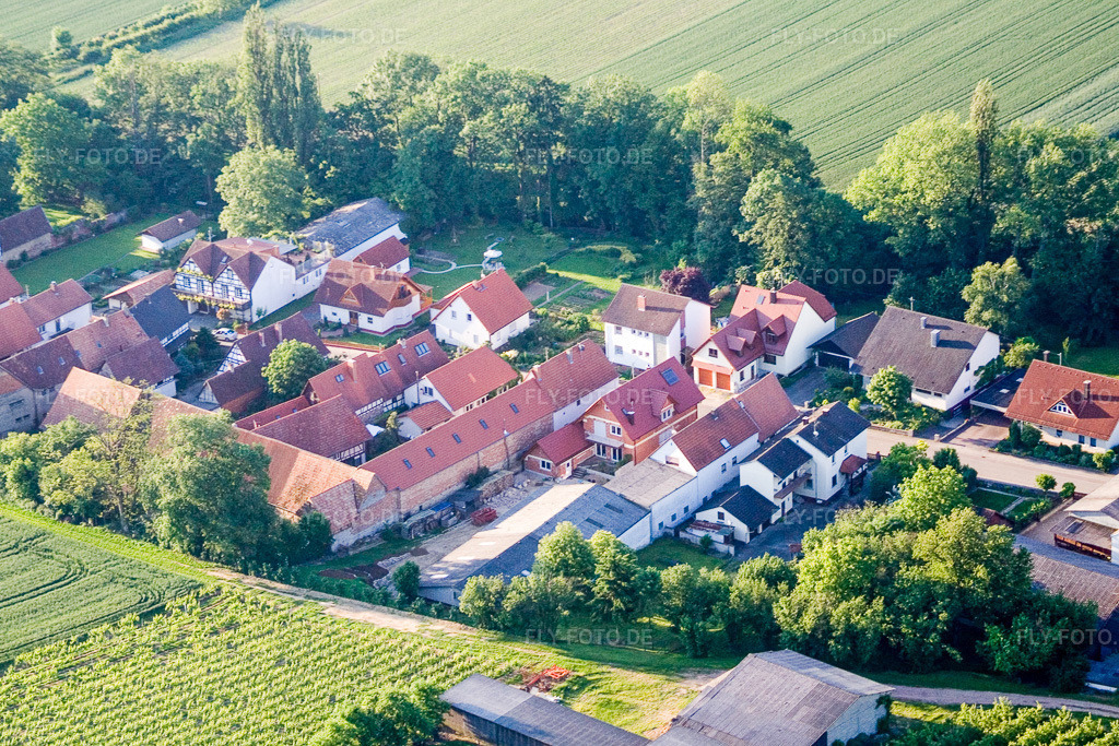 Luftbild: Dorf von Norden in Vollmersweiler im Bundesland Rheinland-Pfalz in Deutschland. Foto: IMG_2708.jpg vom 11.06.2006 durch Werner Riehm/FLY-FOTO.de