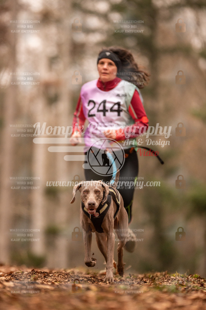 AKM_ST_2023_SAM_Run-144 | PayLife