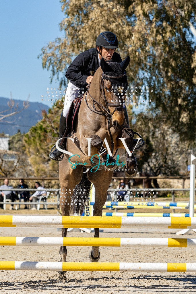 IMG_9593 | s-jay-photography - Realisiert mit Pictrs.com