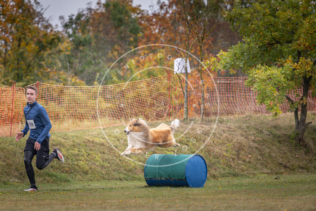 Pfotenfotografie_DV3A1476 | Hundefotografie, Tierfotograf, Pfotenfotografie, Fotoshooting Hund, Hunde Portrait, Hundesport, Hundeportraits, Heideshooting, Hunde, Sportfotograf, Hundefotograf, Turnierhundsport, THS,  - Realisiert mit Pictrs.com