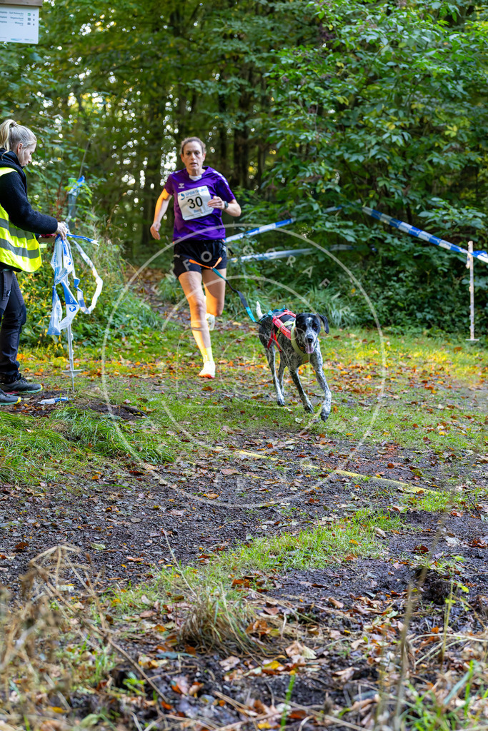 Pfotenfotografie_DV3A6638 | Hundefotografie, Tierfotograf, Pfotenfotografie, Fotoshooting Hund, Hunde Portrait, Hundesport, Hundeportraits, Heideshooting, Hunde, Sportfotograf, Hundefotograf, Turnierhundsport, THS,  - Realisiert mit Pictrs.com
