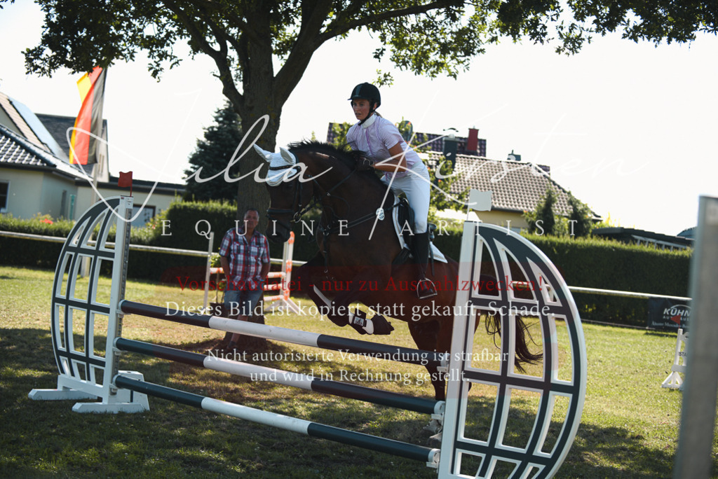 DSC_7164 | Pferde- und Turnierfotografie in Westsachsen. Pferdeportraits, Auftragszeichnungen und intuitive Kunst.