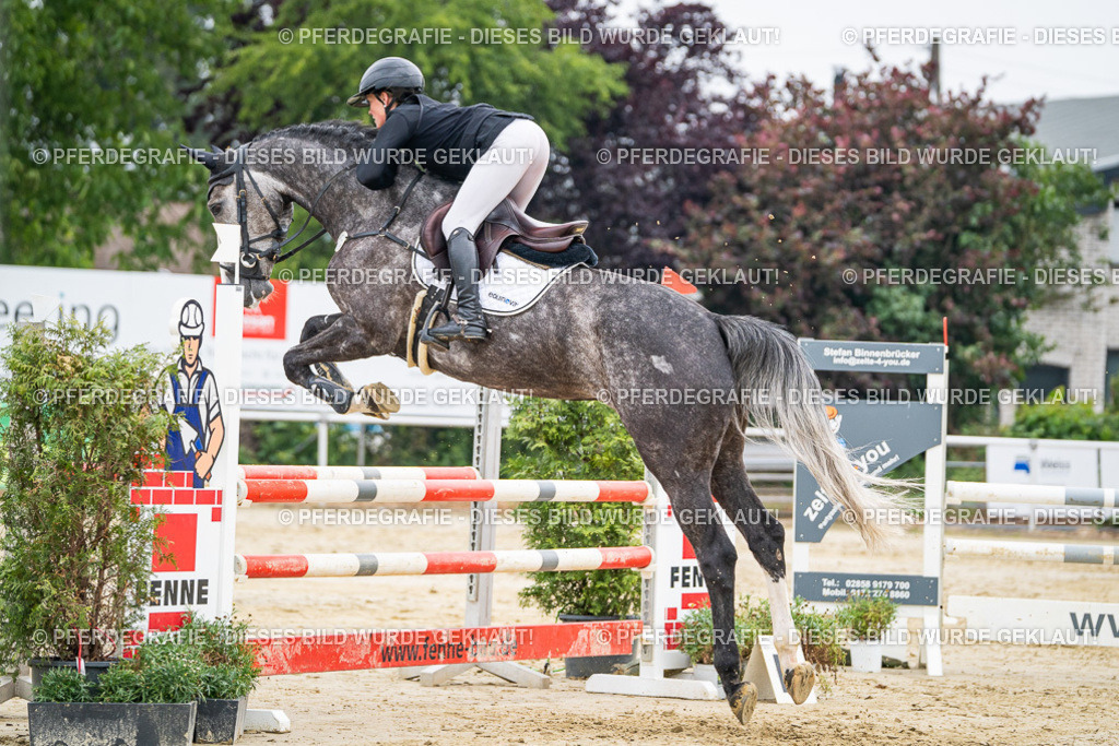 DSC00225 | Pferdegrafie