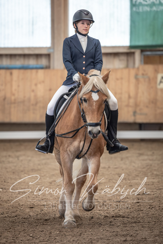 20251011-_3LI8265 | Tierfotografie Pferde, Hunde, Katzen, Haustiere.
Turnierfotografie Reitturniere, Reiten, Springreiten, Dressur in Hanau, dem Main-Kinzig-Kreis und dem Rhein-Main- Gebiet um Frankfurt
