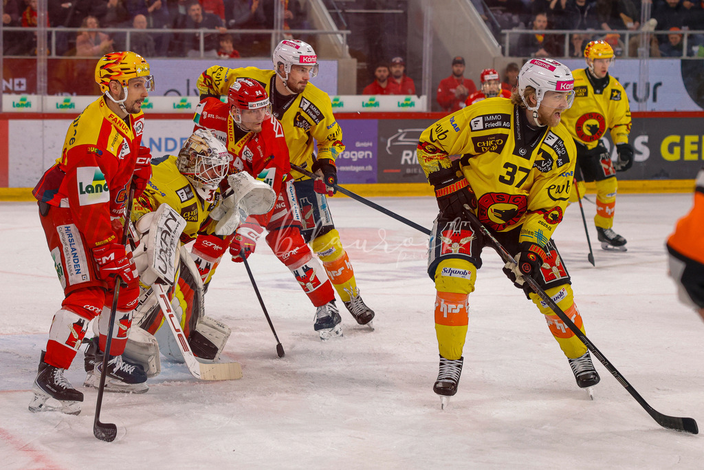 EHCB vs SCB 20260110_wb-3843 | Sportbilder, Sportfotograf, Hochzeits- und Eventfotografin, Flugshows, Portraits und Tiershooting, Aviation, Downhill, Nationalleague, Swissleague, International