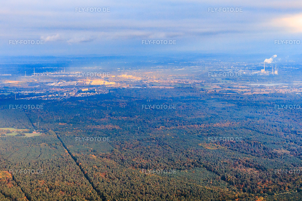 Bienwald von Nordwesten | Luftbild: Bienwald von Nordwesten im Ortsteil Büchelberg in Wörth im Bundesland Rheinland-Pfalz in Deutschland. Foto: IMG_150060.jpg vom 10.10.2025 durch Werner Riehm/FLY-FOTO.de - Realisiert mit Pictrs.com