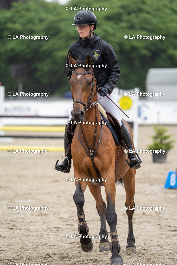 DSC07105 | Entdecke einzigartige Turnierfotos und persönliche Pferde- und Hundeportraits bei LA Photography. Für jeden Reiter und Pferd das perfekte Bild! Stöbere jetzt! - Realisiert mit Pictrs.com