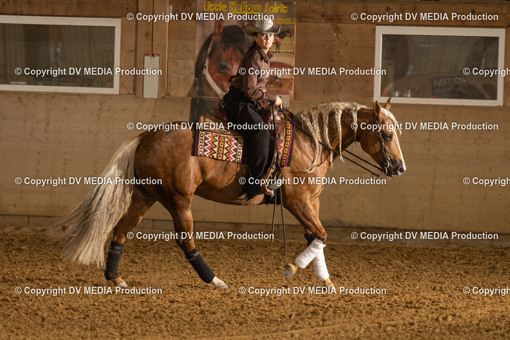 LAU00673 | dv-media-shop - Realisiert mit Pictrs.com