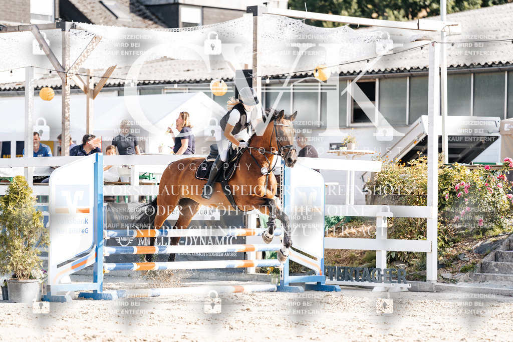 CK909496 | Turnierfotografie Pferdefotografie Trier Rheinland-Pfalz Pferdesport Reitsport Tierfotografie Sportfotografie Pferdevideo Pferdevideografie Equestrianvideography equestrianphotography  - Realisiert mit Pictrs.com