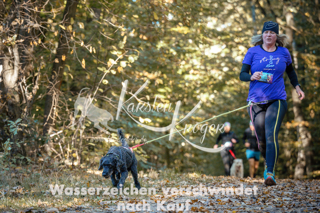1103_ZZ91475 | kk-dogfotos