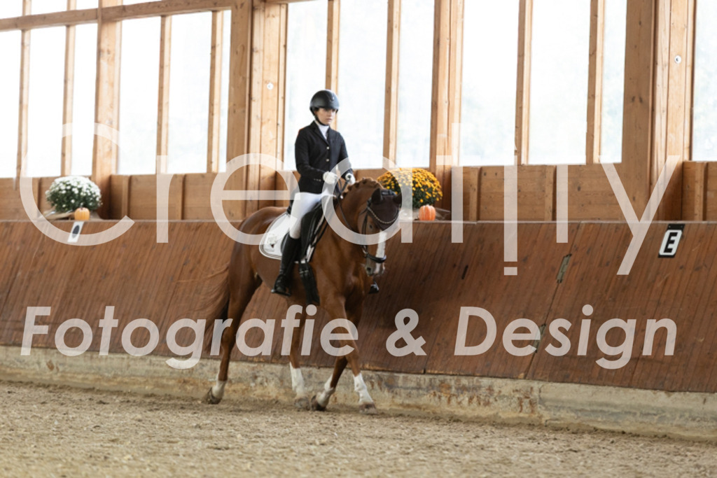 IMG_5865 | Creatify Fotografie