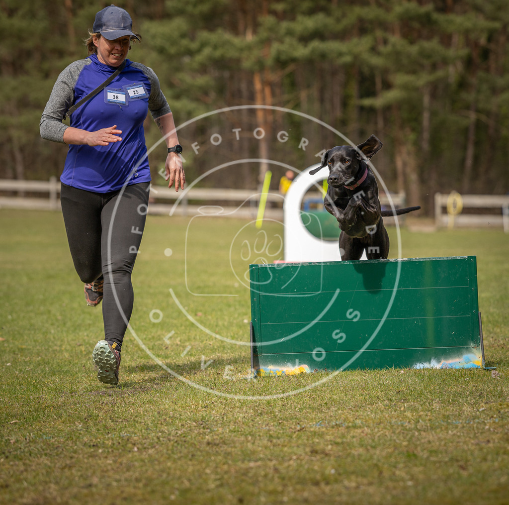 Pfotenfotografie_DV3A8565 | Hundefotografie, Tierfotograf, Pfotenfotografie, Fotoshooting Hund, Hunde Portrait, Hundesport, Hundeportraits, Heideshooting, Hunde, Sportfotograf, Hundefotograf, Turnierhundsport, THS,  - Realisiert mit Pictrs.com