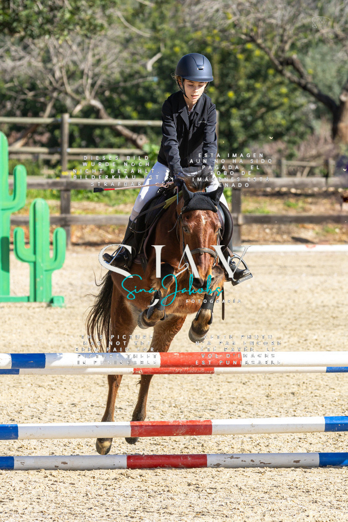 IMG_3612 | s-jay-photography - Realisiert mit Pictrs.com