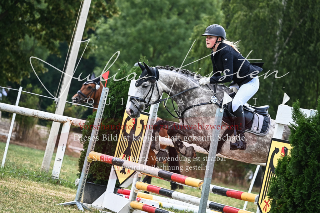 DSC_8371 | Pferde- und Turnierfotografie in Westsachsen. Pferdeportraits, Auftragszeichnungen und intuitive Kunst.