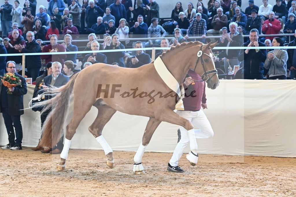 Kat.-Nr. 38 v. De Sandro_Schmid_2243285 | hf-fotografie - Realisiert mit Pictrs.com