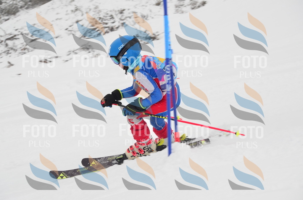 C0989 | holidayphoto