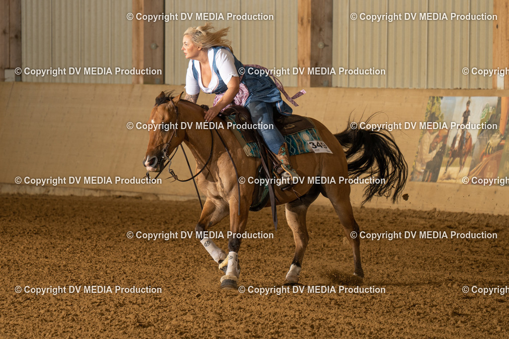 LAU01119 | dv-media-shop - Realisiert mit Pictrs.com