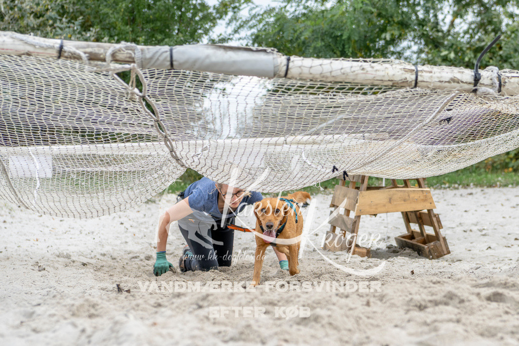 1516_ZZ93828 | kk-dogfotos