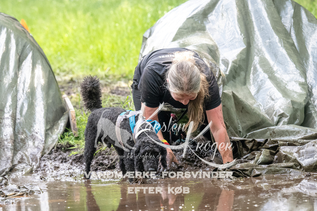 1222_ZZ91990 | kk-dogfotos