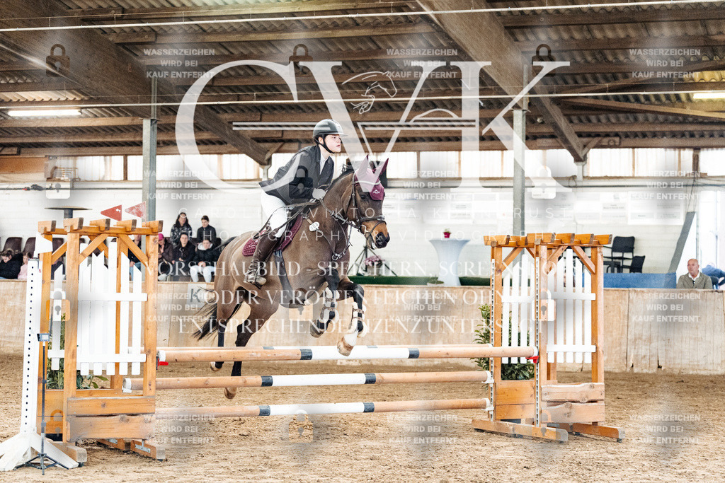 CK904211 | Turnierfotografie Pferdefotografie Trier Rheinland-Pfalz Pferdesport Reitsport Tierfotografie Sportfotografie Pferdevideo Pferdevideografie Equestrianvideography equestrianphotography  - Realized with Pictrs.com