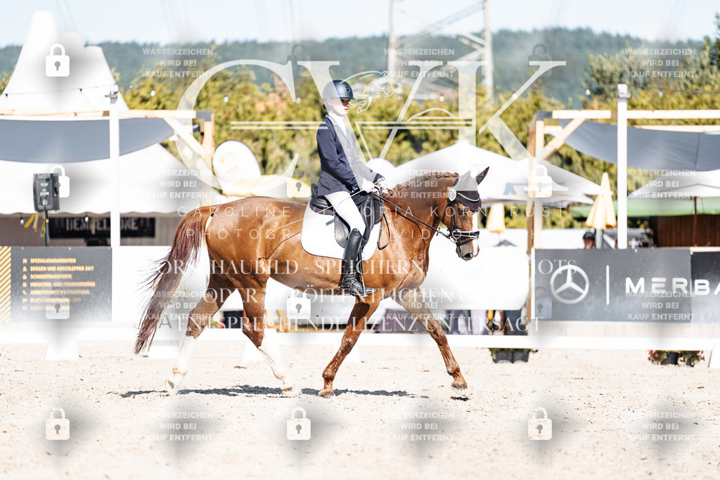 CK908384 | Turnierfotografie Pferdefotografie Trier Rheinland-Pfalz Pferdesport Reitsport Tierfotografie Sportfotografie Pferdevideo Pferdevideografie Equestrianvideography equestrianphotography  - Realisiert mit Pictrs.com