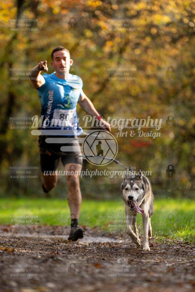 MompixPhotography_Bischwiller23_Canicross-1 | PayLife