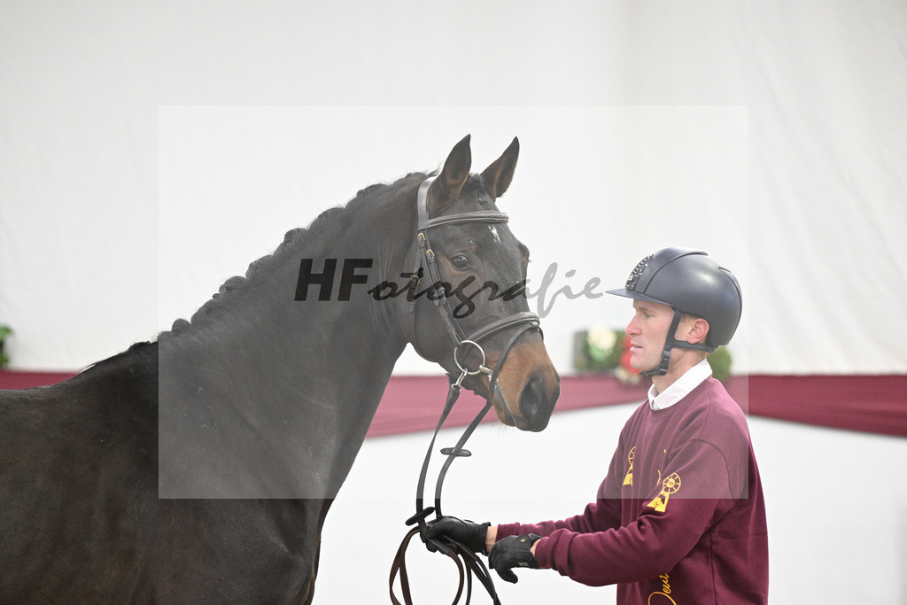 Kat-Nr. 99 Conthalou x Colestus_ZG Erkner_47253197 | hf-fotografie - Realisiert mit Pictrs.com