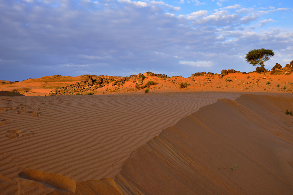 Landschaft in der Wüste im Morgenlicht | Jebel Tazoult, Marokko - November 15, 2024: Landschaft in der Wüste im Morgenlicht - Realisiert mit Pictrs.com