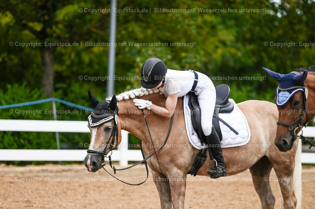 20230715_05_Dressurprüfung Kl.A++_0114 | equistock