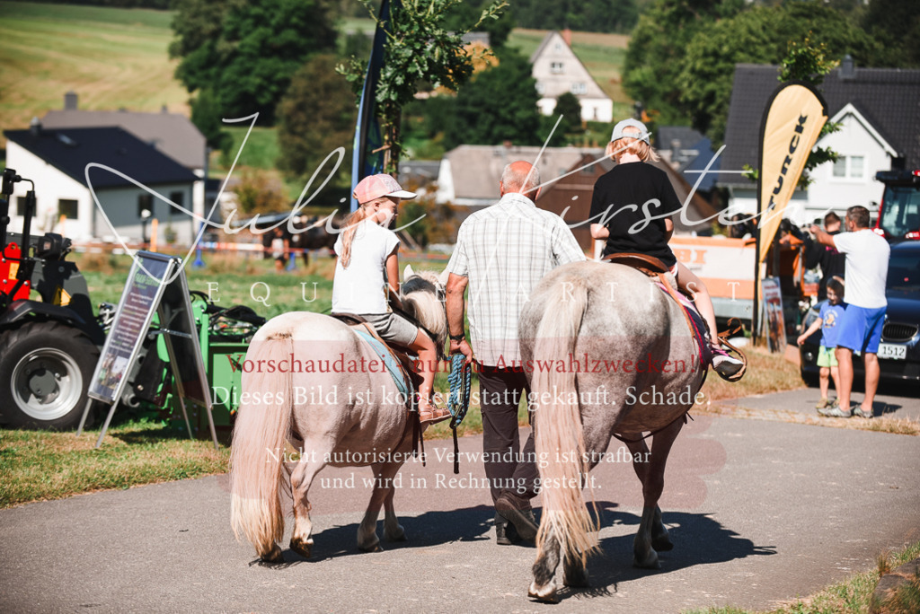 DSC_2666 | Pferde- und Turnierfotografie in Westsachsen. Pferdeportraits, Auftragszeichnungen und intuitive Kunst.