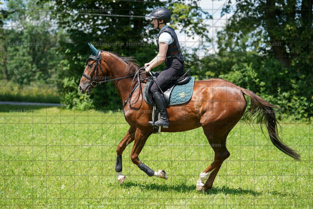20240622-FAH06911 | Turnierfotografen Bayern, Reitsportbilder aus dem Geländekurs mit Felix Etzel auf dem Gut Waitzacker 2024