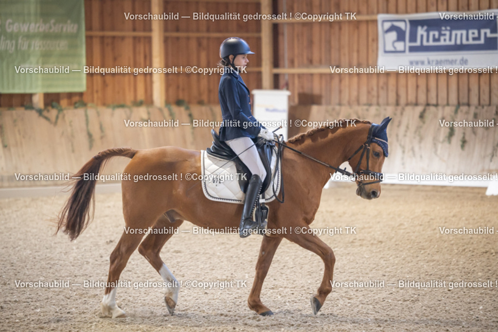 _D5A2088 | Emotionale Pferde- & People-Fotografie rund um Heidelberg, Leimen & Umgebung. Natürliche Fotos von Pferd, Mensch & Familie. Jetzt Termin sichern!