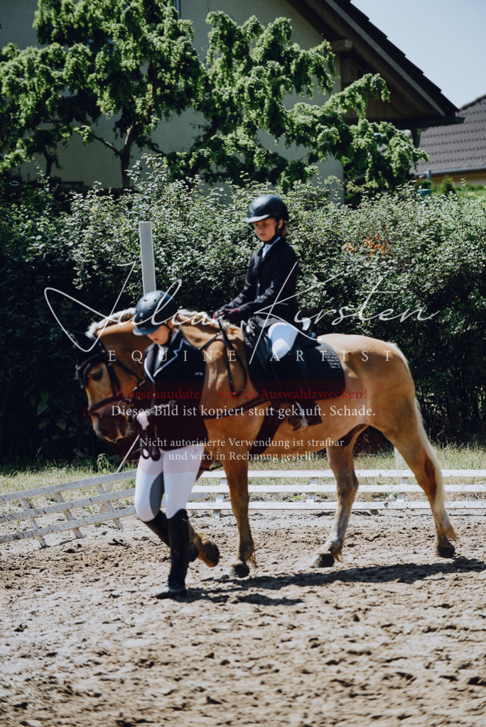 DSC_2252 | Pferde- und Turnierfotografie in Westsachsen. Pferdeportraits, Auftragszeichnungen und intuitive Kunst.