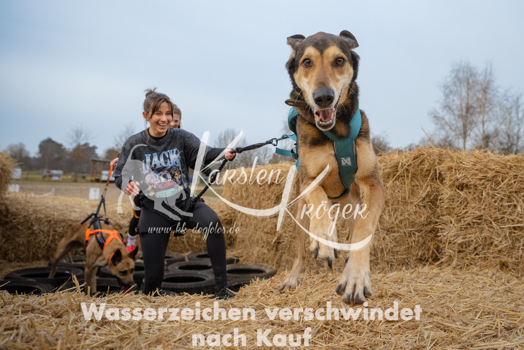 0831_ZZ93217-Bearbeitet | kk-dogfotos