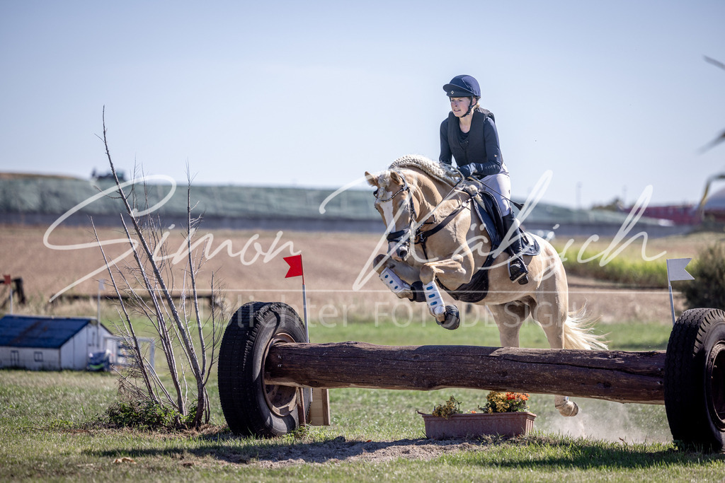 20260906-_3LI2585 | Tierfotografie Pferde, Hunde, Katzen, Haustiere.
Turnierfotografie Reitturniere, Reiten, Springreiten, Dressur in Hanau, dem Main-Kinzig-Kreis und dem Rhein-Main- Gebiet um Frankfurt
