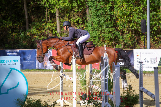 DKP42431 | Turniersportfotografie; Pferdefotografie; Dressurfotografie