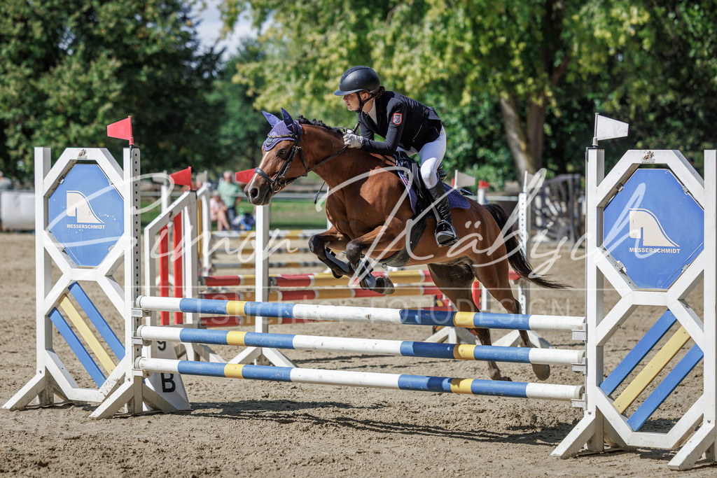 20260905-_3LI9259 | Tierfotografie Pferde, Hunde, Katzen, Haustiere.
Turnierfotografie Reitturniere, Reiten, Springreiten, Dressur in Hanau, dem Main-Kinzig-Kreis und dem Rhein-Main- Gebiet um Frankfurt