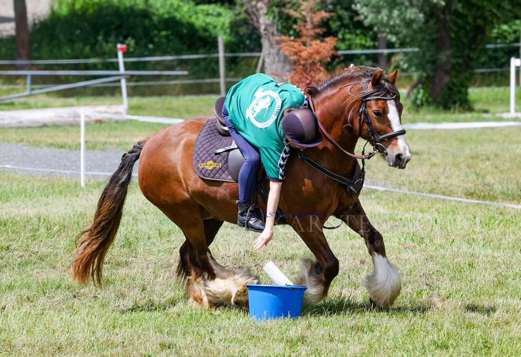 1B3A2247 | Reitsport Reiten