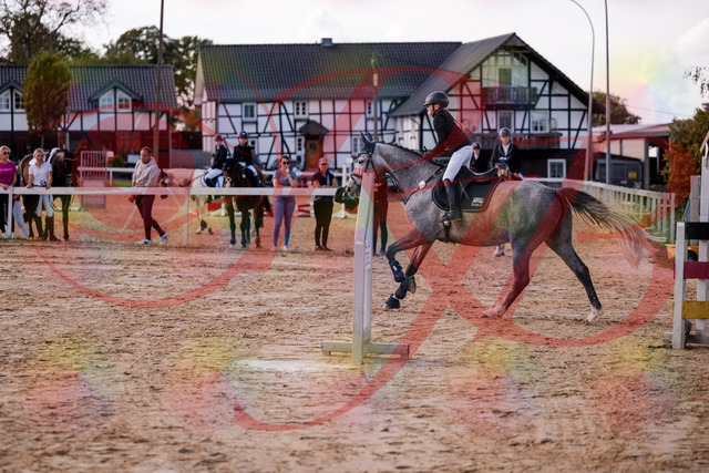 2026_10_03_Siefer-Hof_145130_Z81_30505127 | Professionelle Reitsport-, Turnier- und Eventfotografie von Robert Broda. Galerien mit ausgewählten und bearbeiteten Bildern direkt online ansehen und bestellen.