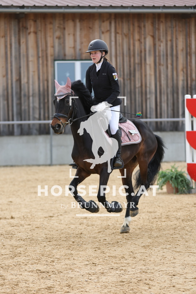 0P6A8550 | Willkommen bei Brunnmayr - Design & Fotografie – Ihrem Spezialisten für Reitturniere und Pferdeveranstaltungen in Oberösterreich, Salzburg und Bayern! Seit über 17 Jahren sind wir leidenschaftlich dabei.