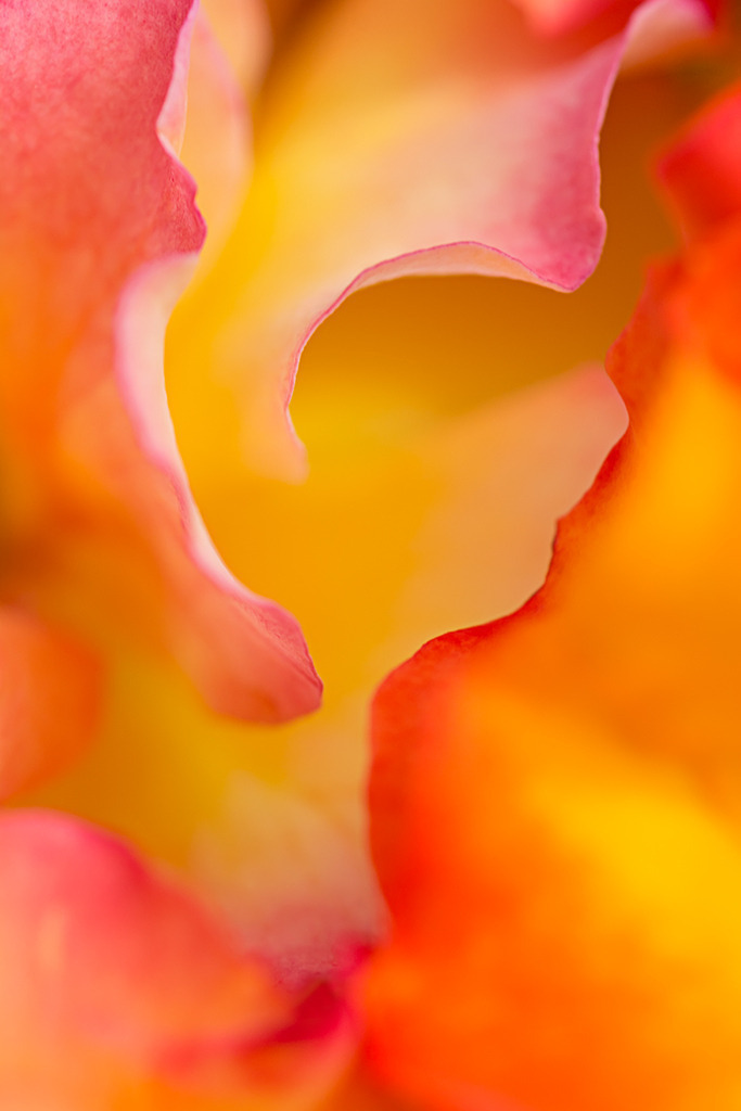 nz_2015_01_02788 | Ausdrucksstarke Naturfotografien | Fotokunst Wandbilder zur Raumgestaltung für Zuhause | Praxis und Büro| Hotels und Wellness | Kanzlei und Repräsentanz. Hochwertig, individuell, flexibel. - Realisiert mit Pictrs.com