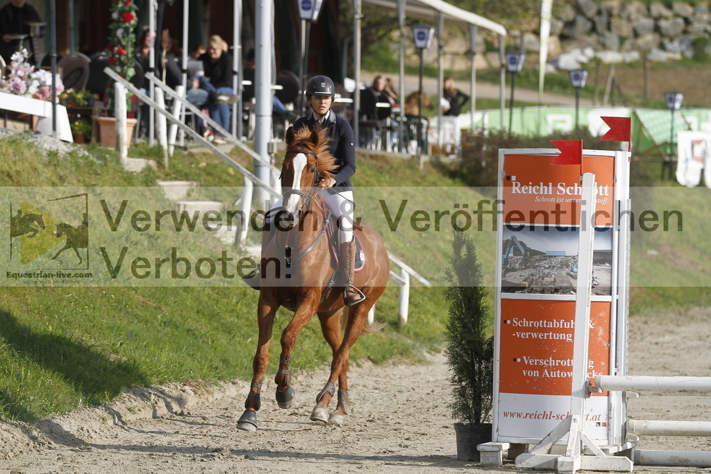 _MG_2384 | equestrian-live-com