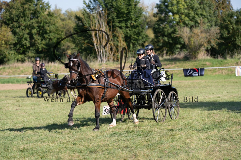 A7V04430 | Pferdefotograf