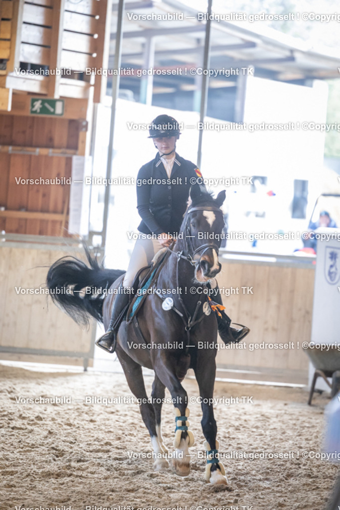 _D5A9227 | Emotionale Pferde- & People-Fotografie rund um Heidelberg, Leimen & Umgebung. Natürliche Fotos von Pferd, Mensch & Familie. Jetzt Termin sichern!