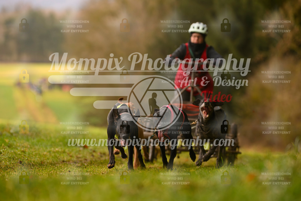 MompixPhotography_2SSTSSBW_2025_SO_Kart-6 | PayLife