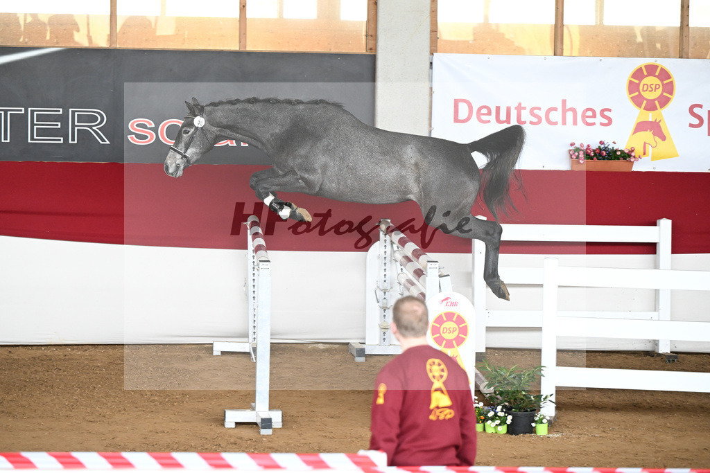 Kat-Nr. 50 Coralee v. Colman_Egetenmeier_9240594 | hf-fotografie - Realizzato con Pictrs.com