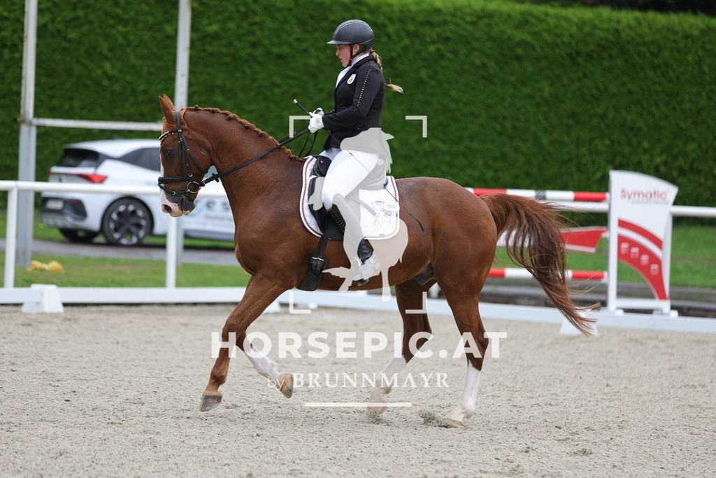 0P6A8377 | Willkommen bei Brunnmayr - Design & Fotografie – Ihrem Spezialisten für Reitturniere und Pferdeveranstaltungen in Oberösterreich, Salzburg und Bayern! Seit über 17 Jahren sind wir leidenschaftlich dabei.