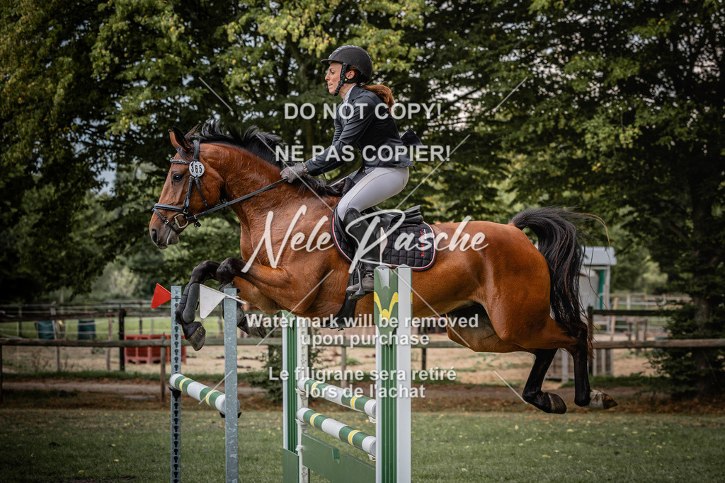 nelerasche_SprA__100Ede_09 | nelerasche