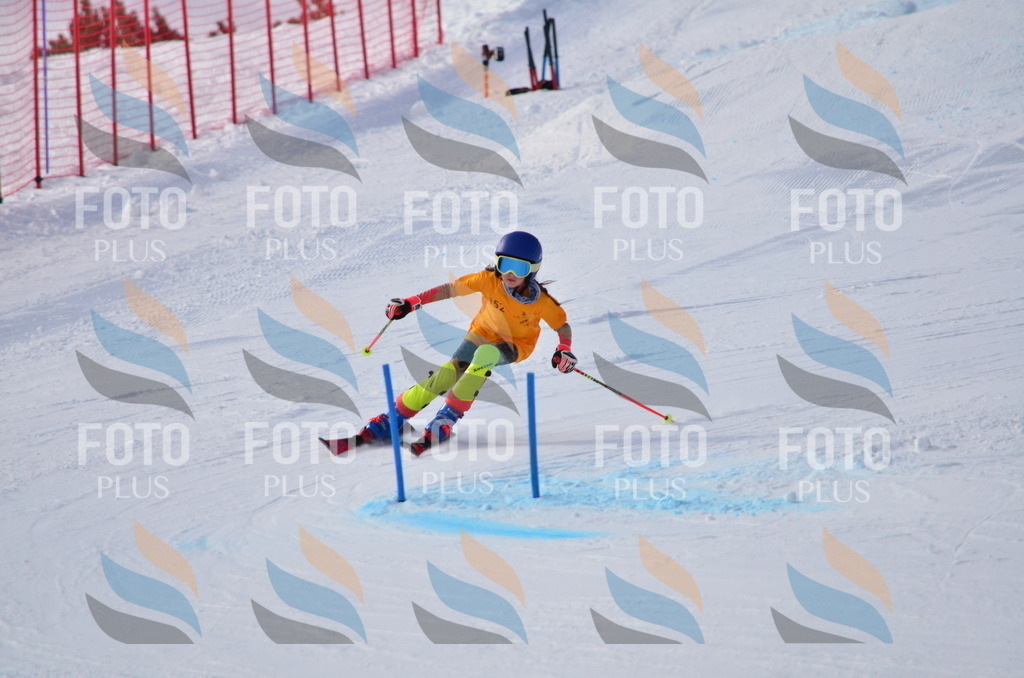 C7766 | holidayphoto